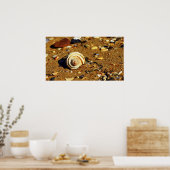 Patonga-Sand Poster (Küche)