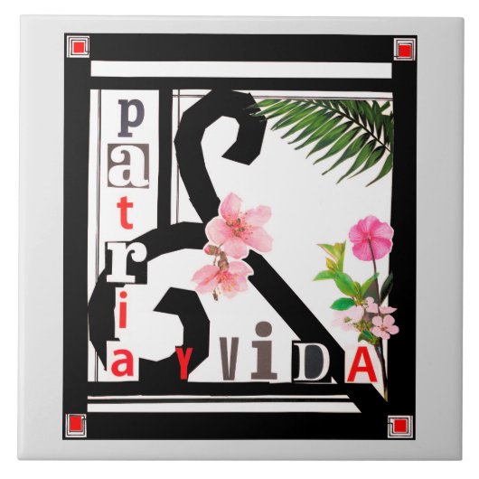 Patria y Vida Black Frame Rosa Blume Fliese (Vorderseite)