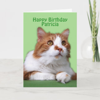 Patricia Happy Birthday Orange und White Cat Karte