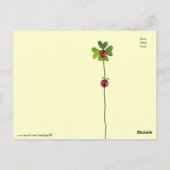 Patrick's Day Klee & Ladybugs Postkarte (Rückseite)