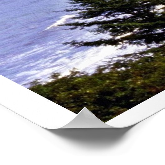 Patrick's Point Staat Park Poster (Ecke)