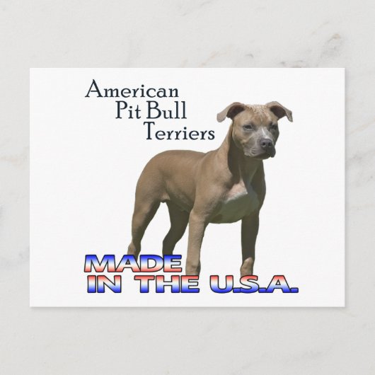 Patriot American Pit Bull Terrier (APBT) Postcard Postkarte (Vorderseite)