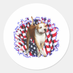 Patriot amerikanischen Staffordshires Terrier Runder Aufkleber