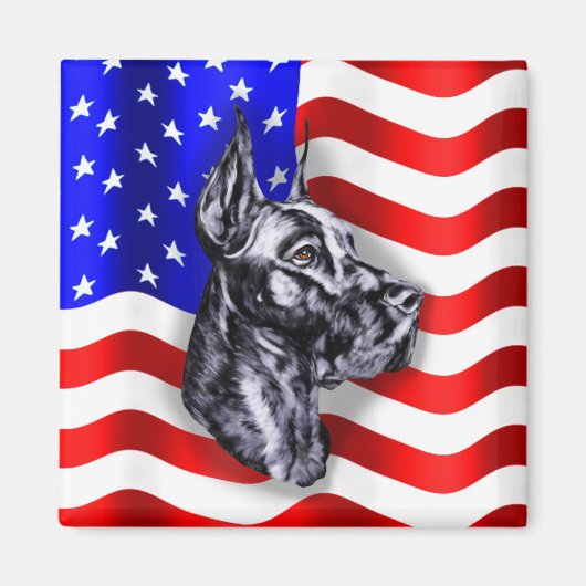 Patriot Dane Black Magnet (Vorne)