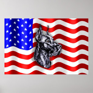 Patriot Dane Black Poster