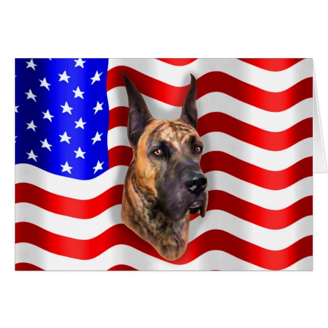Patriot Dane Brindle (Vorderseite (Horizontal))