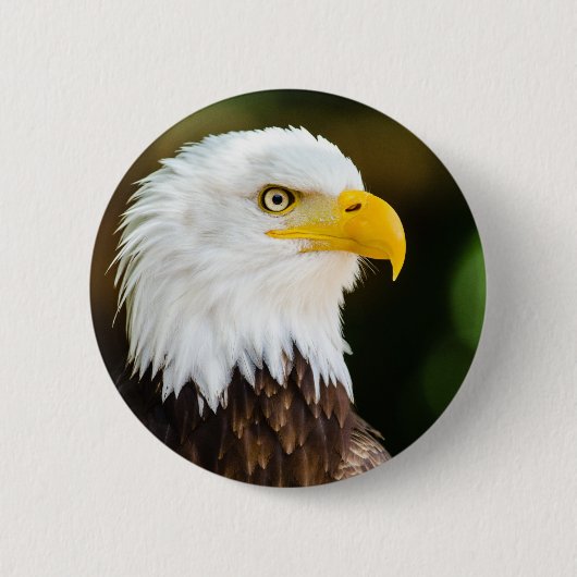 Patriotic Adult American Bald Eagle Button (Vorderseite)
