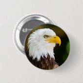 Patriotic Adult American Bald Eagle Button (Vorne & Hinten)