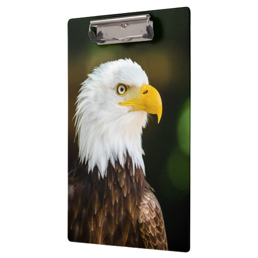 Patriotic Adult American Bald Eagle Klemmbrett (Links)