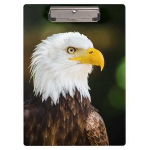 Patriotic Adult American Bald Eagle Klemmbrett