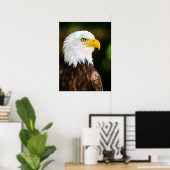 Patriotic Adult American Bald Eagle Poster (Heimbüro)