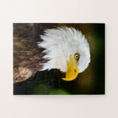 Patriotic Adult American Bald Eagle Puzzle (Horizontal)