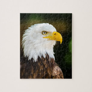 Patriotic Adult American Bald Eagle Puzzle