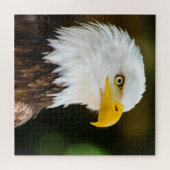 Patriotic Adult American Bald Eagle Puzzle (Horizontal)