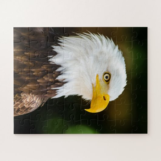 Patriotic Adult American Bald Eagle Puzzle (Horizontal)