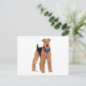 Patriotic Airedale Terrier Postkarte (Stehend Vorderseite)