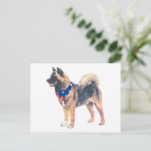 Patriotic Akita Postkarte (Stehend Vorderseite)