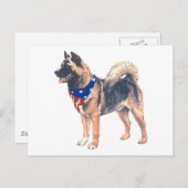 Patriotic Akita Postkarte (Vorne/Hinten)