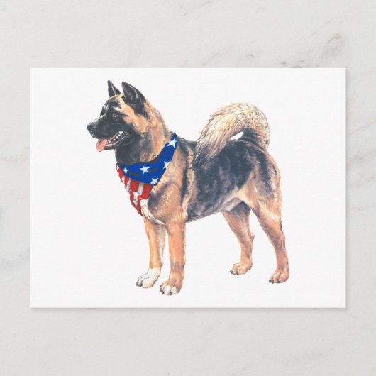 Patriotic Akita Postkarte (Vorderseite)