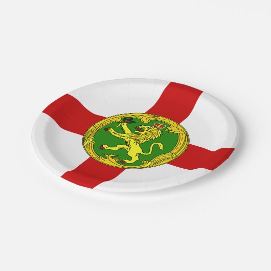 Patriotic Alderney Flag Pappteller (Schrägansicht)