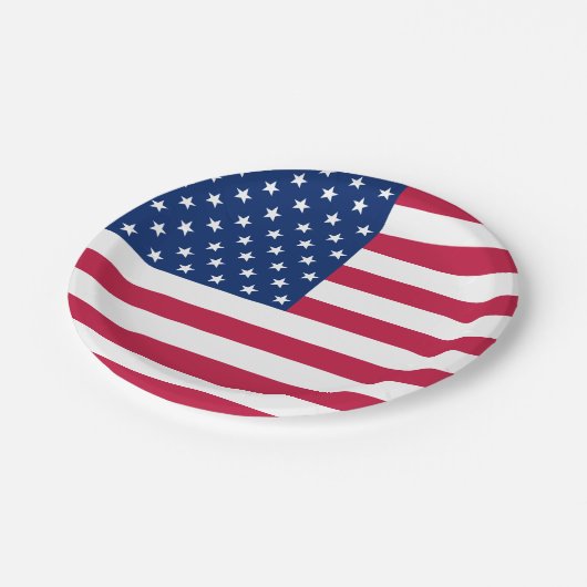 Patriotic American USA Flag Party Party Food Pappteller (Schrägansicht)