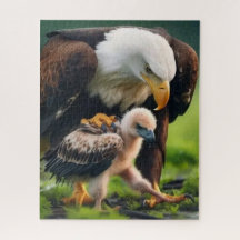 Patriotic Bald Eagle Father's Day Wildlife Gift