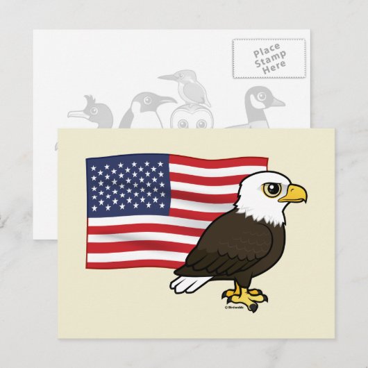 Patriotic Bald Eagle Postkarte (Vorne/Hinten)