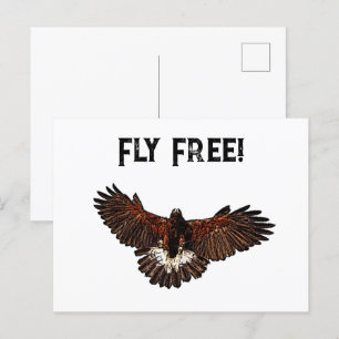 Patriotic Bald Eagle USA Flying Free Nature Art Postkarte