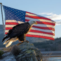 Patriotic Bald Eagle vor der amerikanischen Flagge
