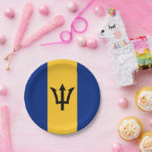 Patriotic Barbados Flag Pappteller (Party)