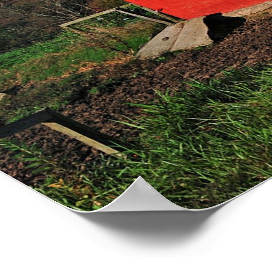 Patriotic Barn Poster (Ecke)