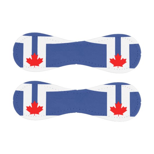 Patriotic baseball with flag of Toronto, Canada (Paneele)