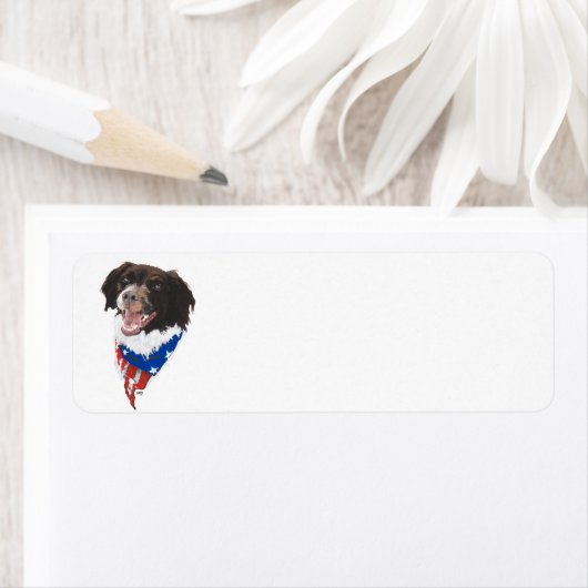 Patriotic Brittany (Insitu)