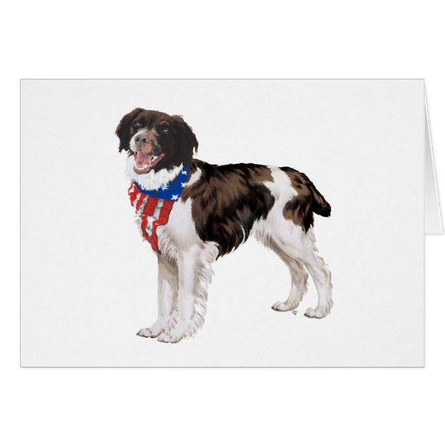 Patriotic Brittany (Vorderseite (Horizontal))