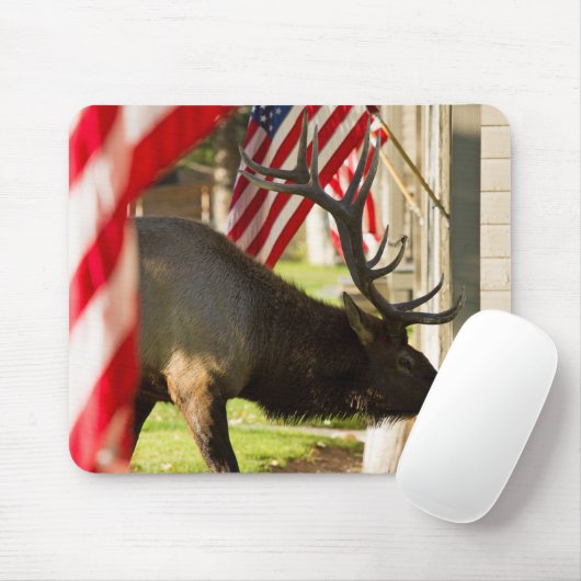 Patriotic Bull Elk Mouse pad Mousepad (Mit Mouse)
