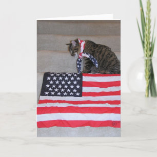 Patriotic Cat Card Karte