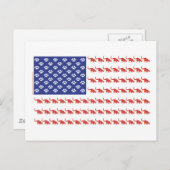 Patriotic Cat/USA Postkarte (Vorne/Hinten)