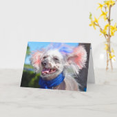 Patriotic Chinese Crested hairless dog Karte (Gelbe Blume)