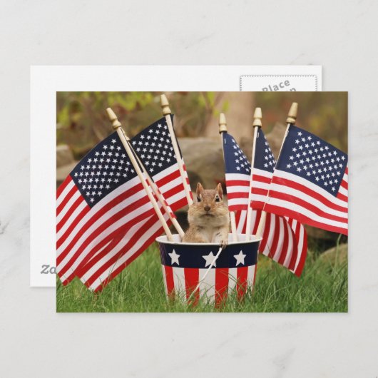 Patriotic Chipmunk Postkarte (Vorne/Hinten)