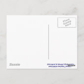 Patriotic Chipmunk Postkarte (Rückseite)