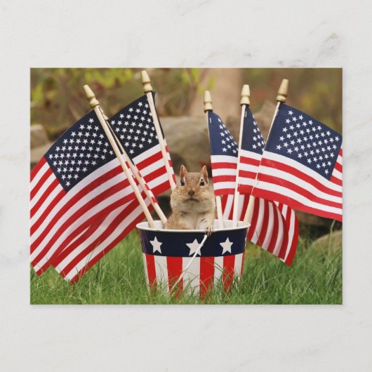 Patriotic Chipmunk Postkarte (Vorderseite)