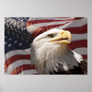 Patriotic Eagle Canvas Print Poster