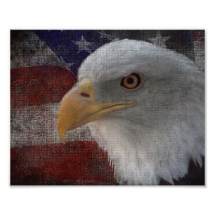 Patriotic Eagle & Flag Fotodruck