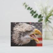 Patriotic Eagle Image Postcard Postkarte (Stehend Vorderseite)