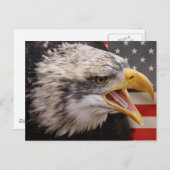 Patriotic Eagle Image Postcard Postkarte (Vorne/Hinten)