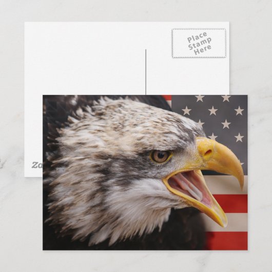 Patriotic Eagle Image Postcard Postkarte (Vorne/Hinten)