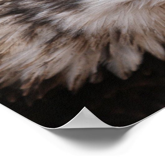 Patriotic Eagle Image Poster Print (Ecke)