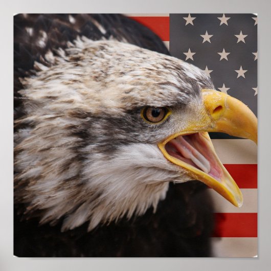 Patriotic Eagle Image Poster Print (Vorne)