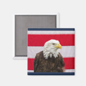 Patriotic Eagle Magnet (Vorderseite/Rückseite)
