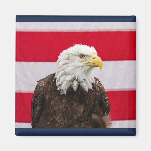 Patriotic Eagle Magnet (Vorne)